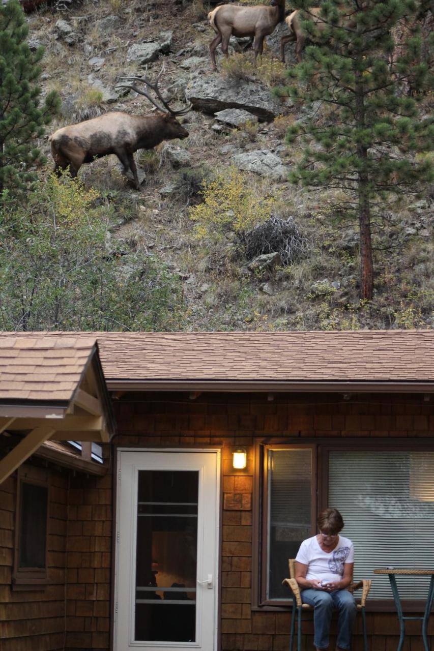 Misty Mountain Lodge Estes Park Exterior photo
